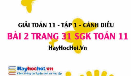 Giải bài 2 trang 31 Toán 11 tập 1 SGK Cánh Diều